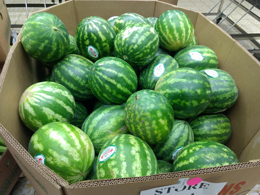 Supermarket «ALDI», reviews and photos, 3497 Belmont Ave, Youngstown, OH 44505, USA