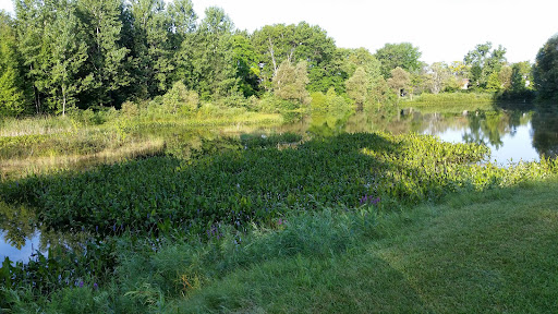 Golf Course «Moose Ridge Golf Course & Grille», reviews and photos, 11801 Doane Rd, South Lyon, MI 48178, USA