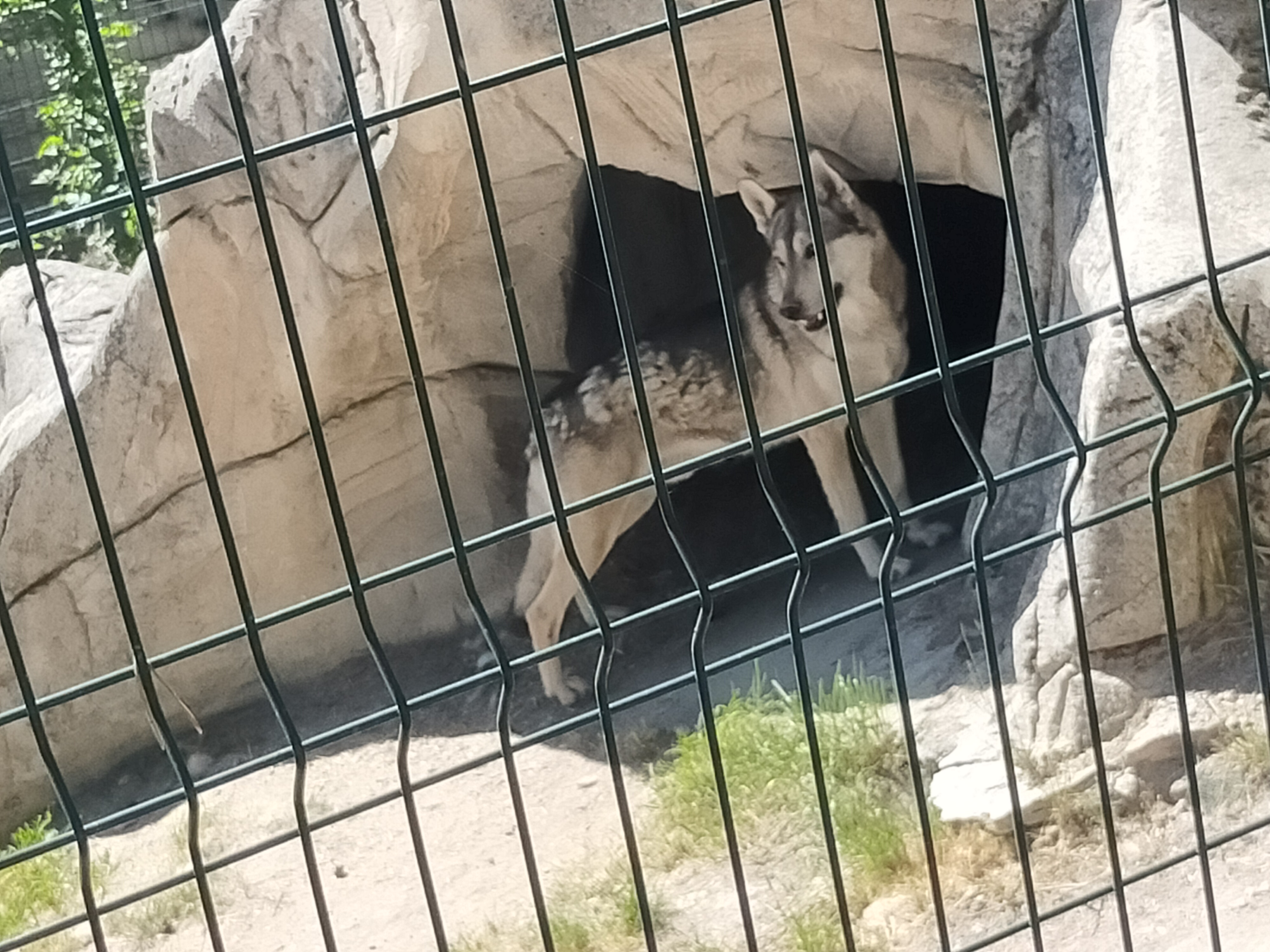 Photo n° 3 de l'avis de lincé.l fait le 29/06/2021 à 19:27