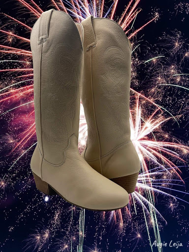 Dance Store «Karizmah Dance Shoes & Boots», reviews and photos, 10875 Plano Rd, Dallas, TX 75238, USA