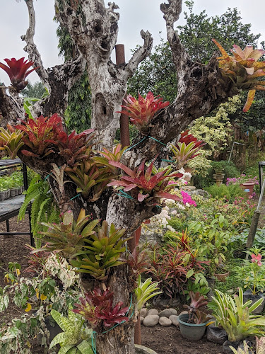 Via A Naranjito, Milagro, Ecuador