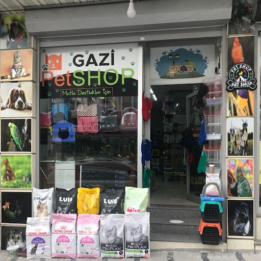 GAZİ PETSHOP | Gaziosmanpaşa İstanbul - Evcil hayvan mağazası