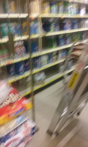 Discount Store «Dollar General», reviews and photos, 1750 Marietta Hwy # 170, Canton, GA 30114, USA