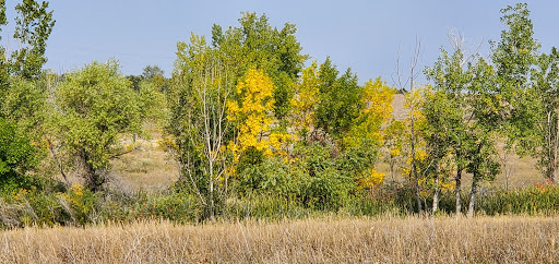 Wildlife Park «Willow Spring Open Space», reviews and photos, 7100 S Holly St, Centennial, CO 80112, USA