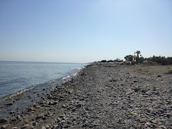 Foto av Gallarate beach bekvämlighetsområde