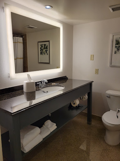 Hotel «Delta Hotels by Marriott Chesapeake», reviews and photos