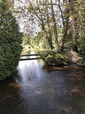 Clairière du Grand Proust à Estouy