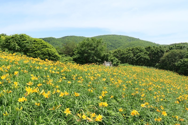 大平高原