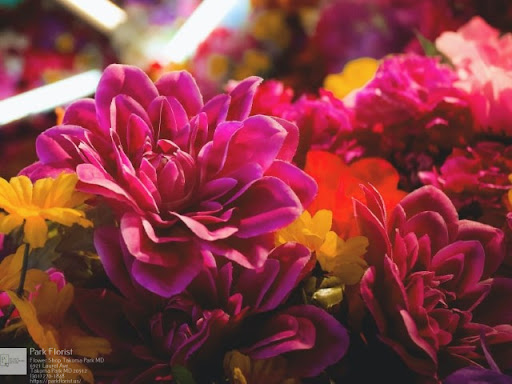 Florist «Park Florist», reviews and photos, 6921 Laurel Ave, Takoma Park, MD 20912, USA