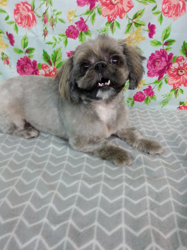 Pet Supply Store «Sunflower Natural Pet Supplies», reviews and photos, 514 Pillsbury Dr, Manhattan, KS 66502, USA