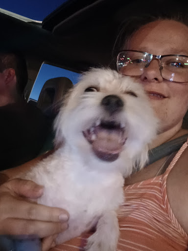 Pet Supply Store «PetSmart», reviews and photos, 1140 W Elliot Rd, Tempe, AZ 85284, USA