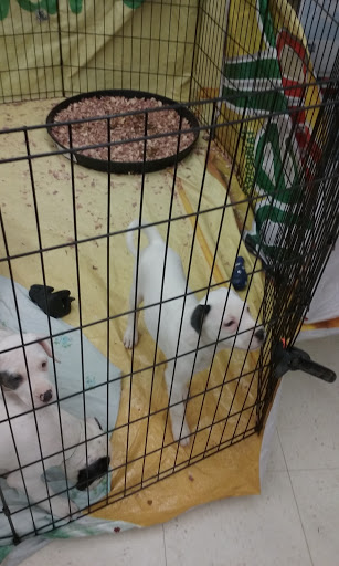 Pet Supply Store «Pet Supplies Plus», reviews and photos, 2649 E Grand River Ave, Howell, MI 48843, USA