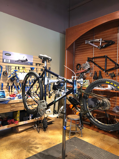 Outdoor Sports Store «Flint Creek Outfitters», reviews and photos, 4414 SW College Rd #910, Ocala, FL 34474, USA