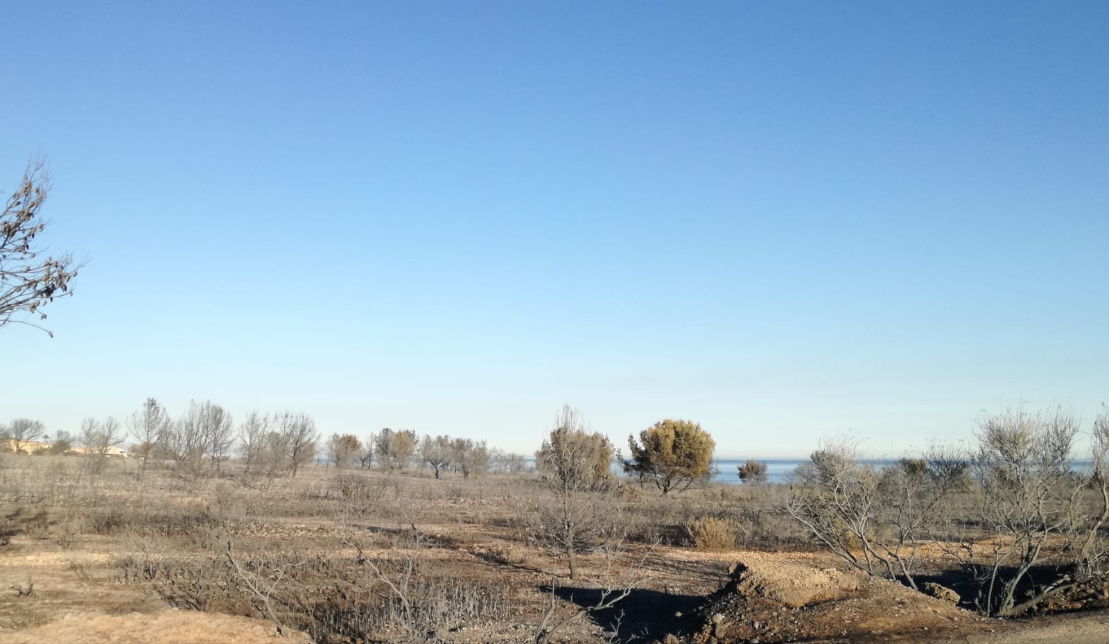Photo n° 12 de l'avis de Jean-Pierre.a fait le 09/05/2019 à 21:35