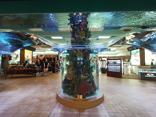 Sporting Goods Store «SCHEELS», reviews and photos, 11282 State St, Sandy, UT 84070, USA