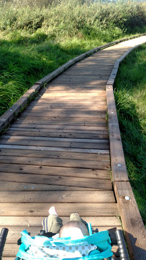 Park «N. Creek Park», reviews and photos, 1011 183rd St SE, Bothell, WA 98012, USA