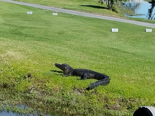 Private Golf Course «Sweetwater Golf & Tennis Club», reviews and photos, 4635 U.S. Highway 17/92 West, Haines City, FL 33844, USA