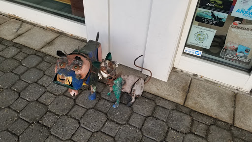 Pet Supply Store «Pet Barn Inc», reviews and photos, 167 Jennifer Rd # G, Annapolis, MD 21401, USA