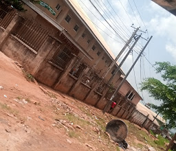 Vicanna Palms Hostel photo