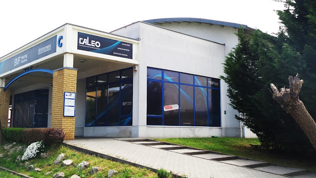 Caleo Hungary Kft.