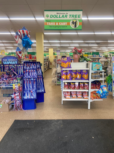 Dollar Store «Dollar Tree», reviews and photos, 1090 State St, Lemont, IL 60439, USA