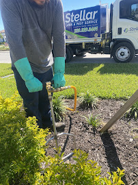 Stellar Lawn and Pest Service, LLC - Photo 2 - Car repair in , Lehigh Acres