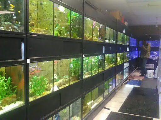 Pet Store «WorldWide Fish & Pets», reviews and photos, 61 Amity Rd, New Haven, CT 06515, USA