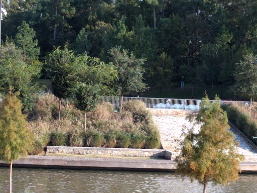 Park «Town Green Park», reviews and photos, 2099 Lake Robbins Dr, The Woodlands, TX 77380, USA