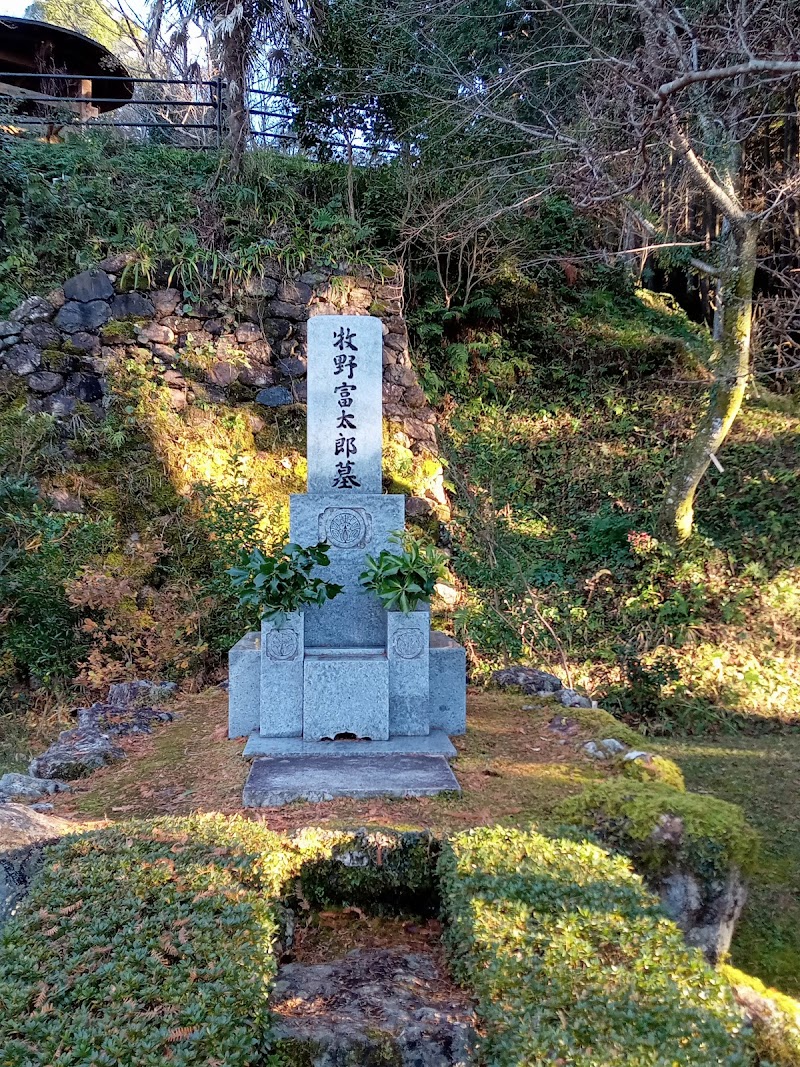 牧野富太郎・田中光顕の墓
