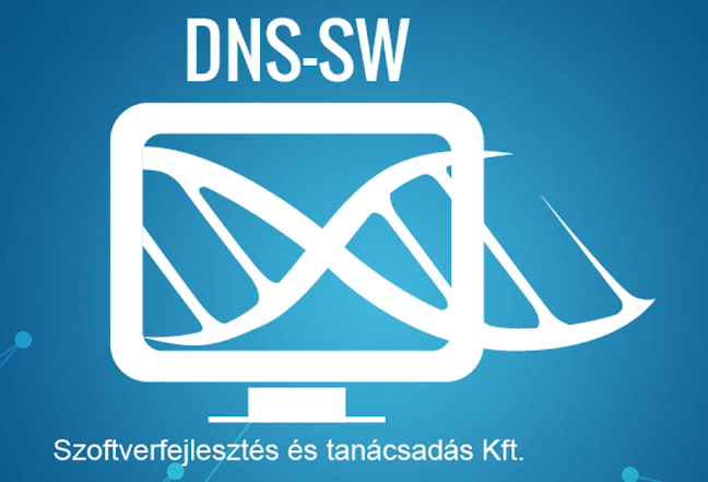 DNS-SW Kft. - Budapest