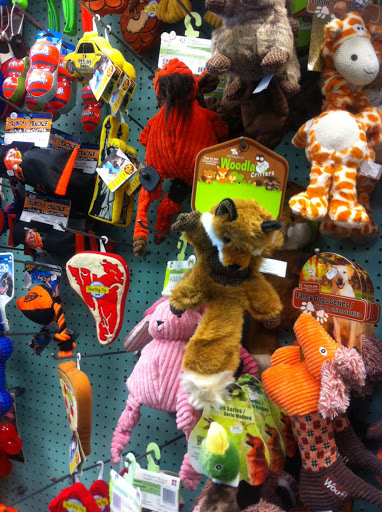 Pet Store «Petland Discounts - 125th Street», reviews and photos, 167 E 125th St, New York, NY 10035, USA