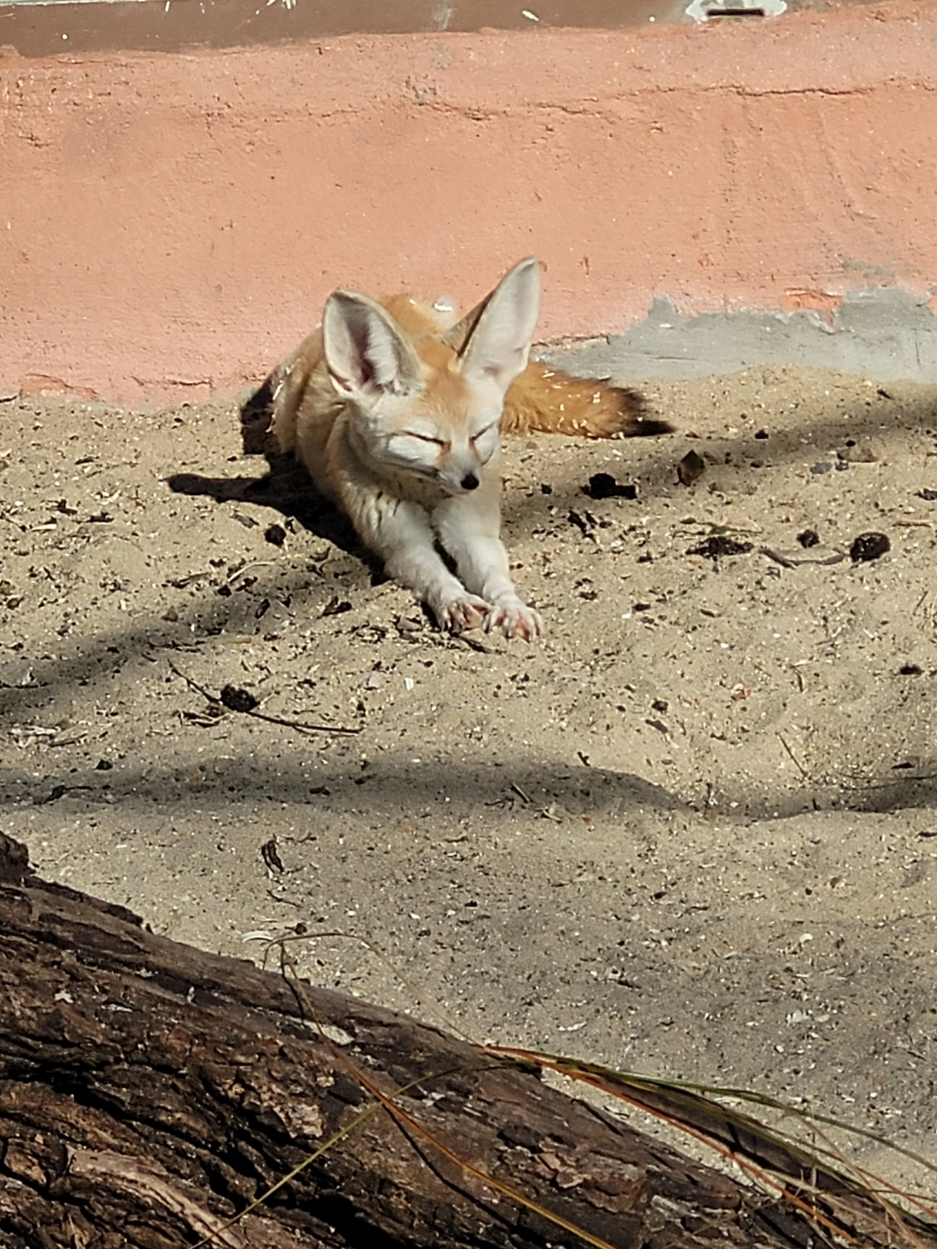 Photo n° 3 de l'avis de mickael. fait le 23/03/2022 à 21:58