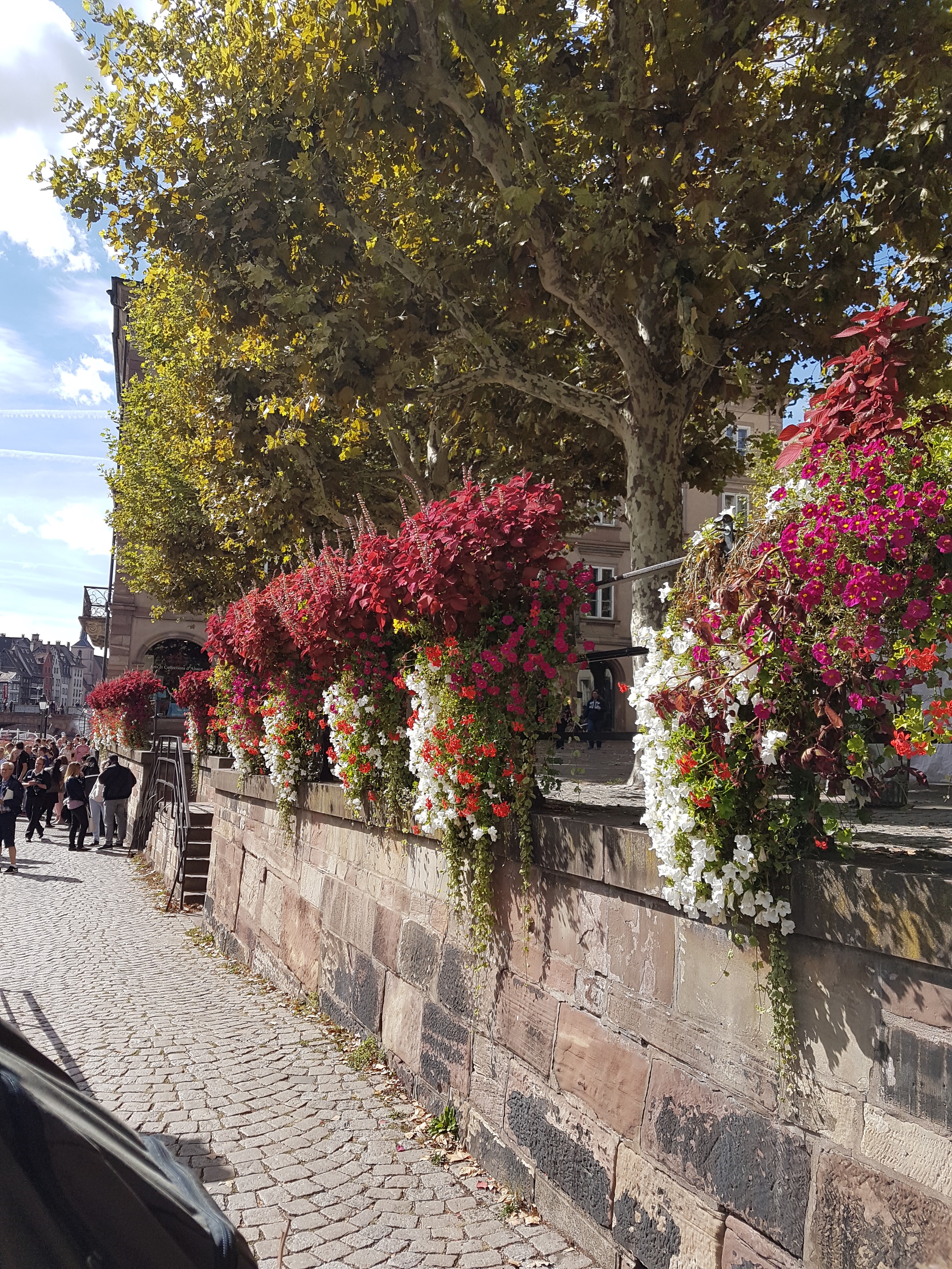 Photo n° 6 de l'avis de Sandrine. fait le 24/09/2018 à 14:45
