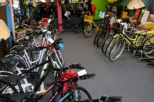 Bicycle Repair Shop «Adventure Earth», reviews and photos, 2039 Airport Blvd, Mobile, AL 36606, USA