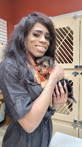 Pet Supply Store «Petland Dallas», reviews and photos, 11909 Preston Rd, Dallas, TX 75230, USA