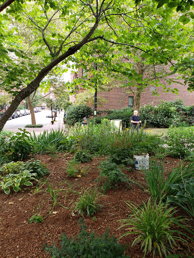 Park «Titus Sparrow Park», reviews and photos, 200 W Newton St, Boston, MA 02118, USA