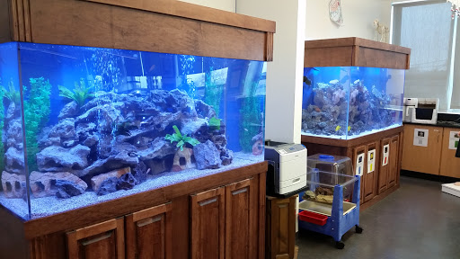 Tropical Fish Store «Aquarium Network», reviews and photos, 2435 Grand Ave, Bellmore, NY 11710, USA