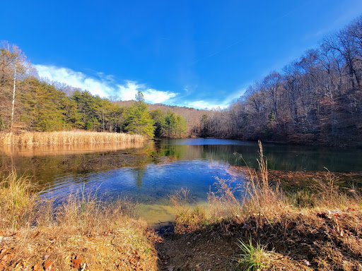 Nature Preserve «Jefferson Memorial Forest», reviews and photos, 11311 Mitchell Hill Rd, Fairdale, KY 40118, USA