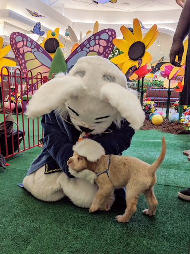 Shopping Mall «Oakland Mall», reviews and photos, 412 W 14 Mile Rd, Troy, MI 48083, USA