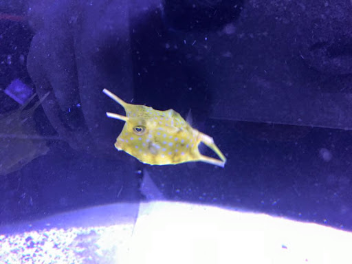 Tropical Fish Store «Reef Oasis», reviews and photos, 7669 Mentor Ave, Mentor, OH 44060, USA