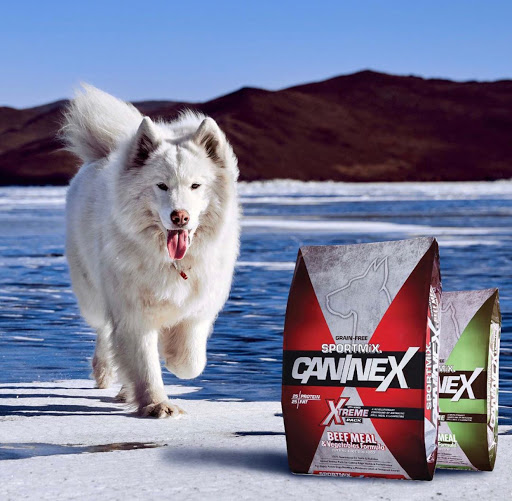 Pet Supply Store «Bully Zone Pet Supplies & Pet Grooming», reviews and photos, 1409 McCarter Hwy, Newark, NJ 07104, USA