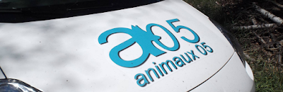 Animaux 05 à Briançon