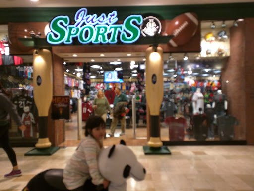 Sporting Goods Store «Just Sports», reviews and photos, 3111 W Chandler Blvd #2336, Chandler, AZ 85226, USA