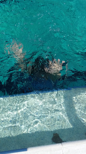 Golf Shop «Seven Springs Golf Shop», reviews and photos, 3535 Trophy Blvd, Trinity, FL 34655, USA