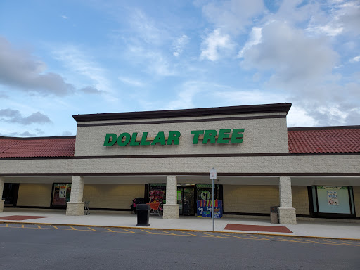 Dollar Store «Dollar Tree», reviews and photos, 1952 State Rd 44, New Smyrna Beach, FL 32168, USA