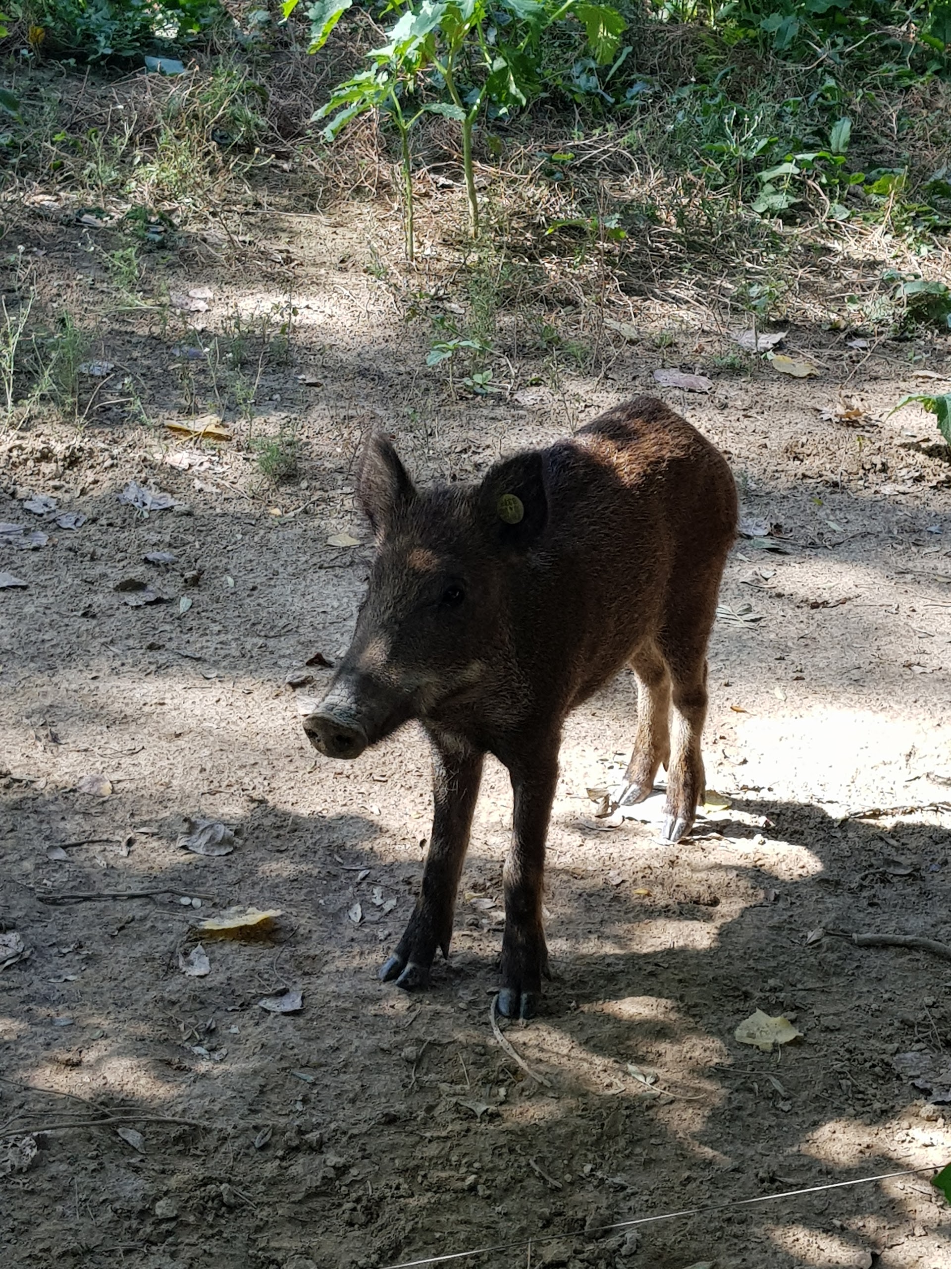 Photo n° 3 de l'avis de Michael.w fait le 13/08/2017 à 11:58