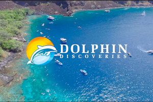 Dolphin Discoveries image