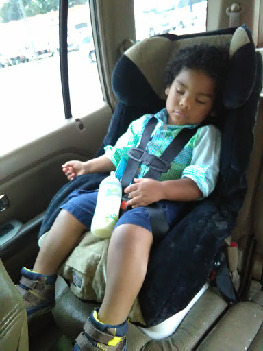 Pet Supply Store «Pet Supplies Plus», reviews and photos, 1704 Greenville Ave, Dallas, TX 75206, USA