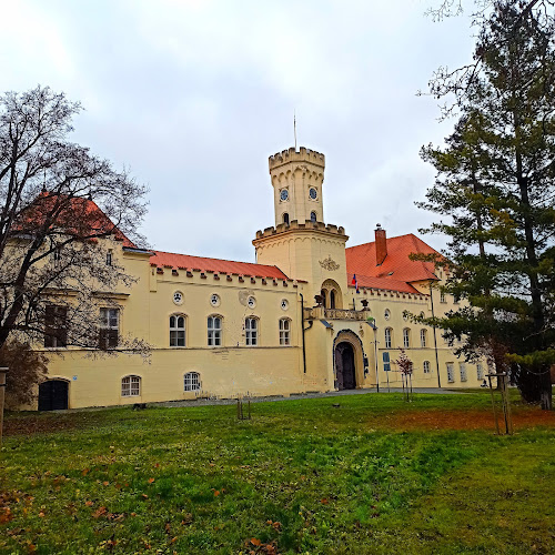 Recenze na Domov pro seniory SOKOLNICE, příspěvková organizace na zámku v Brno - Domov pro seniory