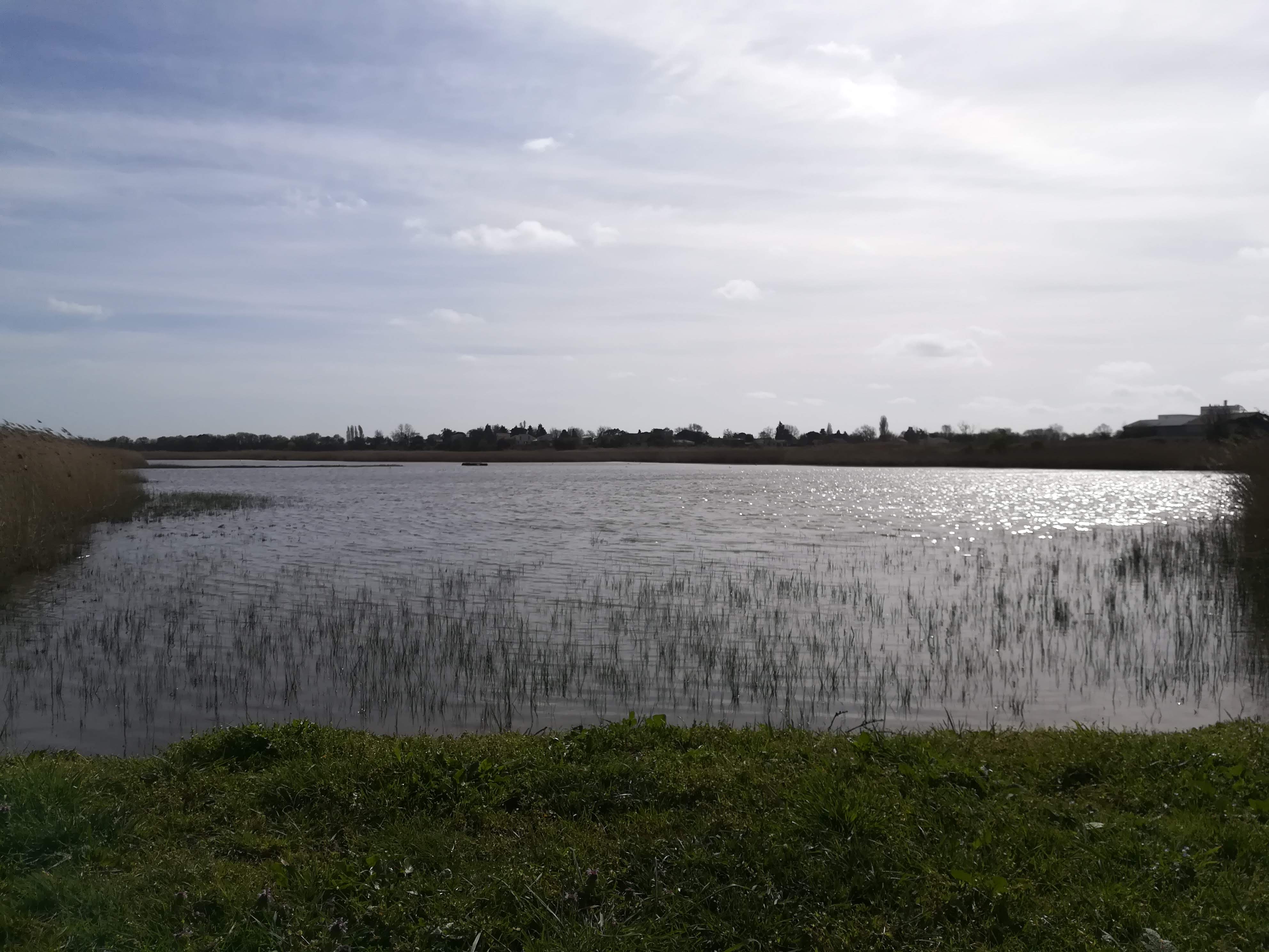 Photo n° 43 de l'avis de Nathalie.e fait le 12/03/2019 à 11:58